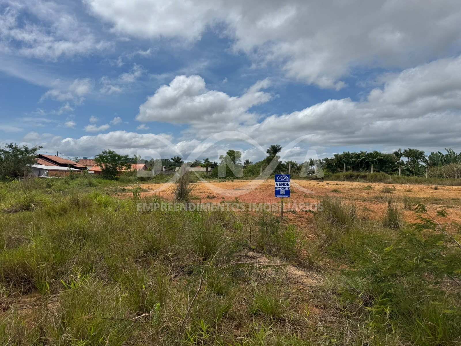 lot.-sao-4